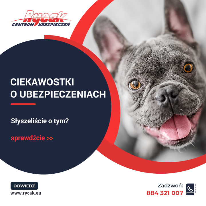 Ciekawostki o ubezpieczeniach - część II